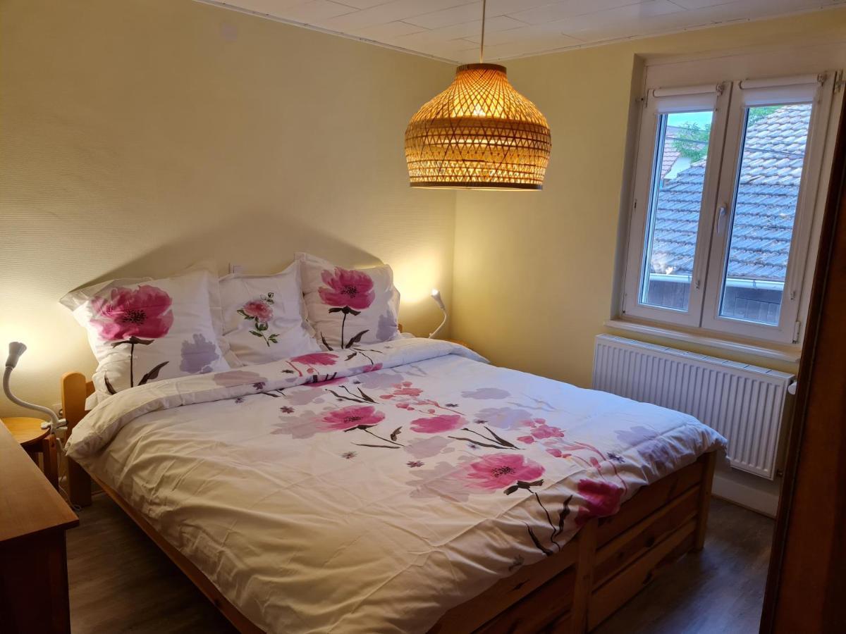 Apartmán Les Chouchous Du Ried 2 Saasenheim Exteriér fotografie